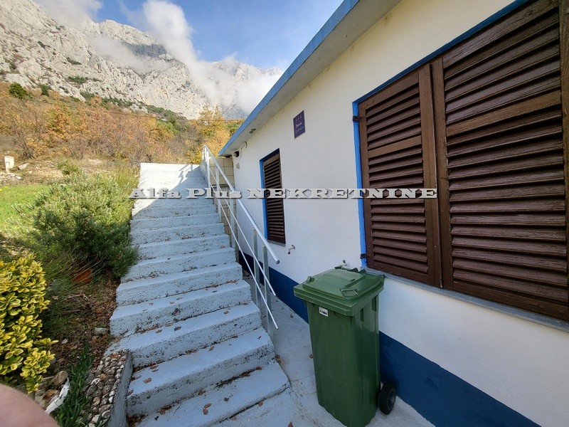 Alfa Plus Nekretnine