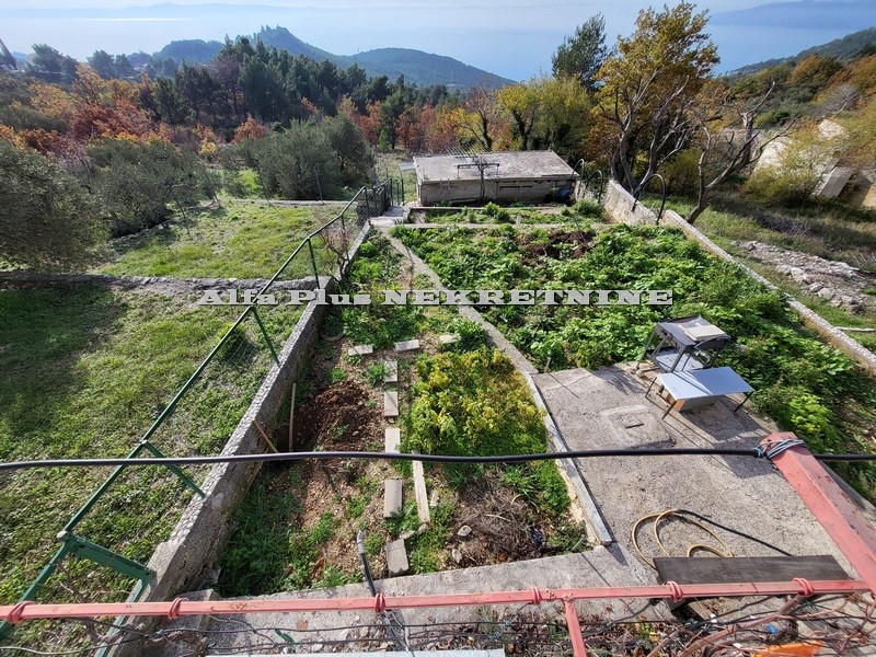 Alfa Plus Nekretnine