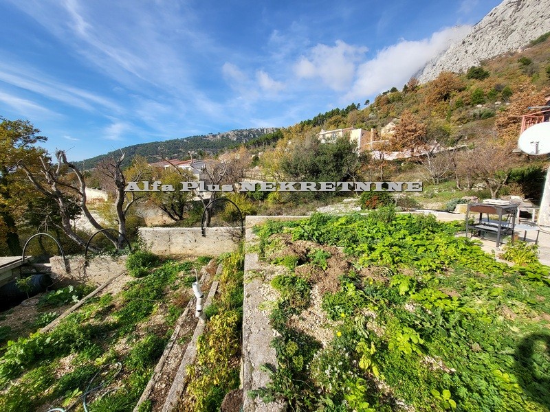 Alfa Plus Nekretnine