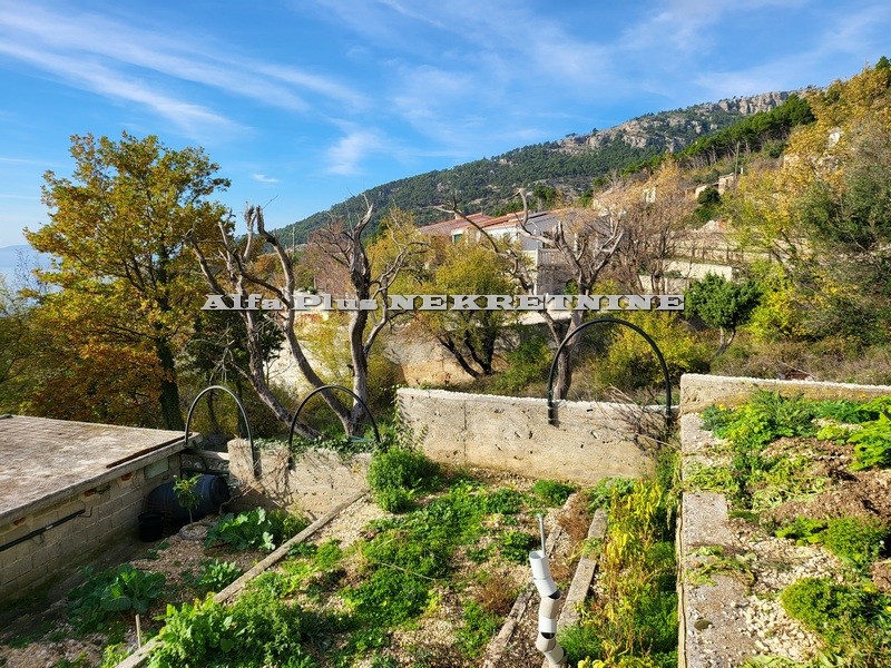 Alfa Plus Nekretnine