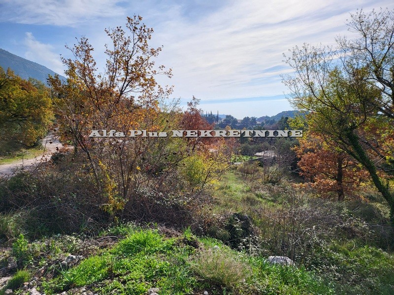 Alfa Plus Nekretnine