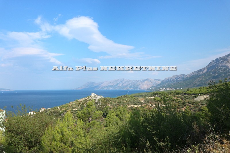 Alfa Plus Nekretnine