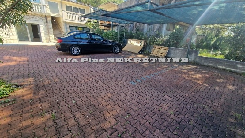Alfa Plus Nekretnine