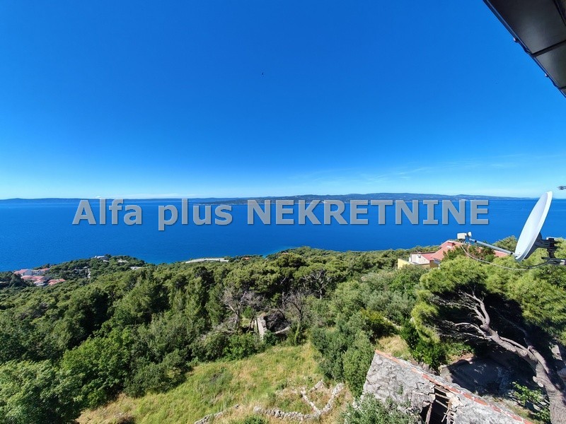 Alfa Plus Nekretnine