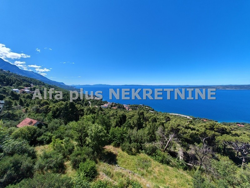 Alfa Plus Nekretnine