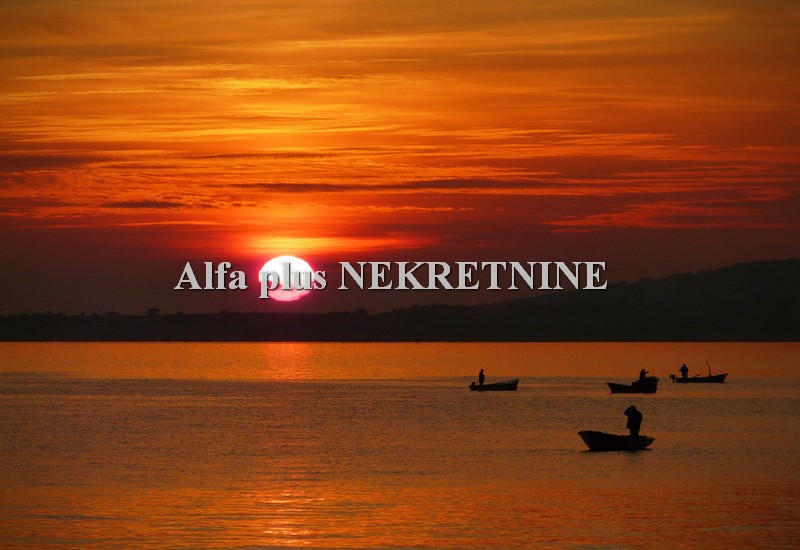 Alfa Plus Nekretnine