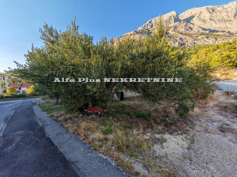 Alfa Plus Nekretnine