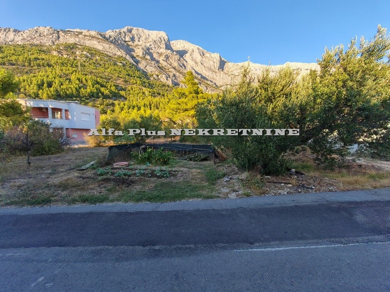 Alfa Plus Nekretnine